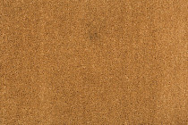 Ковролин Balta ITC Vensent 37 фото 1 | FLOORDEALER